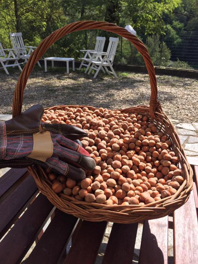 Tenuta Nissole Rocchetta Tanaro Екстер'єр фото